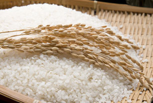 여주쌀 사진
