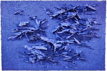 Blue inside blue 24-33 이미지