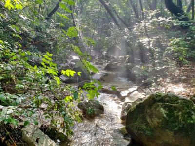 마감산(馬甘山)