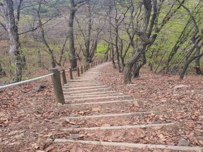 마감산(馬甘山)