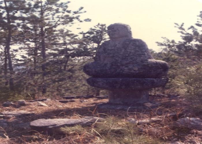 도곡리 석불 좌상(道谷里 石佛 坐像)