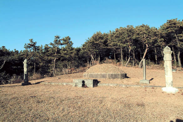 경시성 묘 전경 이미지