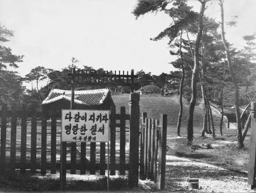 1970년경의 영릉 전경 이미지