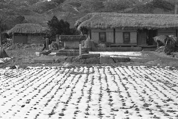 고달사지 내 상교리 마을 모습 이미지