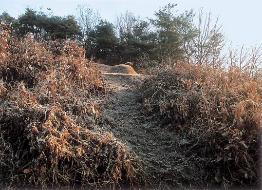 장암리 고려청자요지 전경 이미지