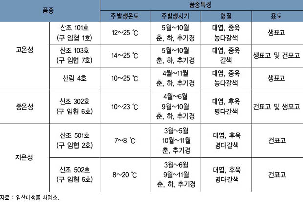 표고종균 품종 특성 이미지