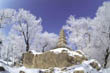 신륵사 경내의 동대탑