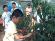 어린이 생명학교의 농촌문화체험 활동
