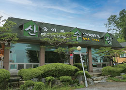 산수정 이미지