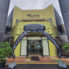 여주 곤충박물관 이미지