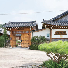 지미당 이미지