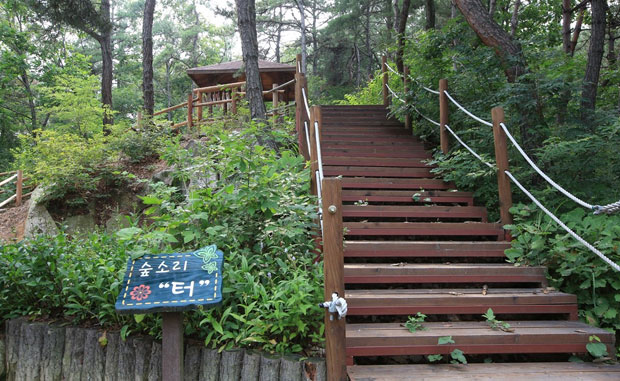  숲소리 터