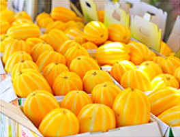 Yeoju Oriental Melon Vendors